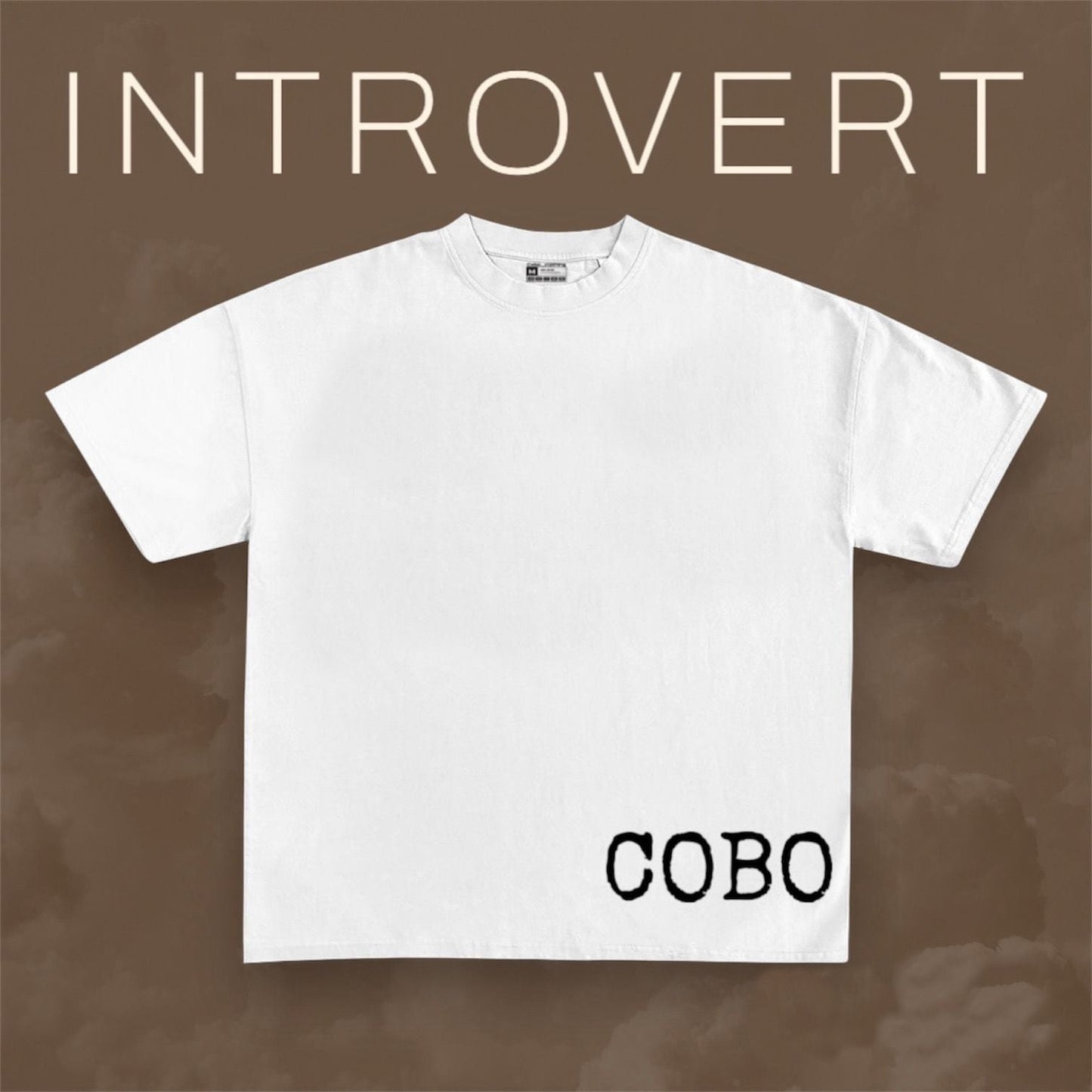 Social Introvert
